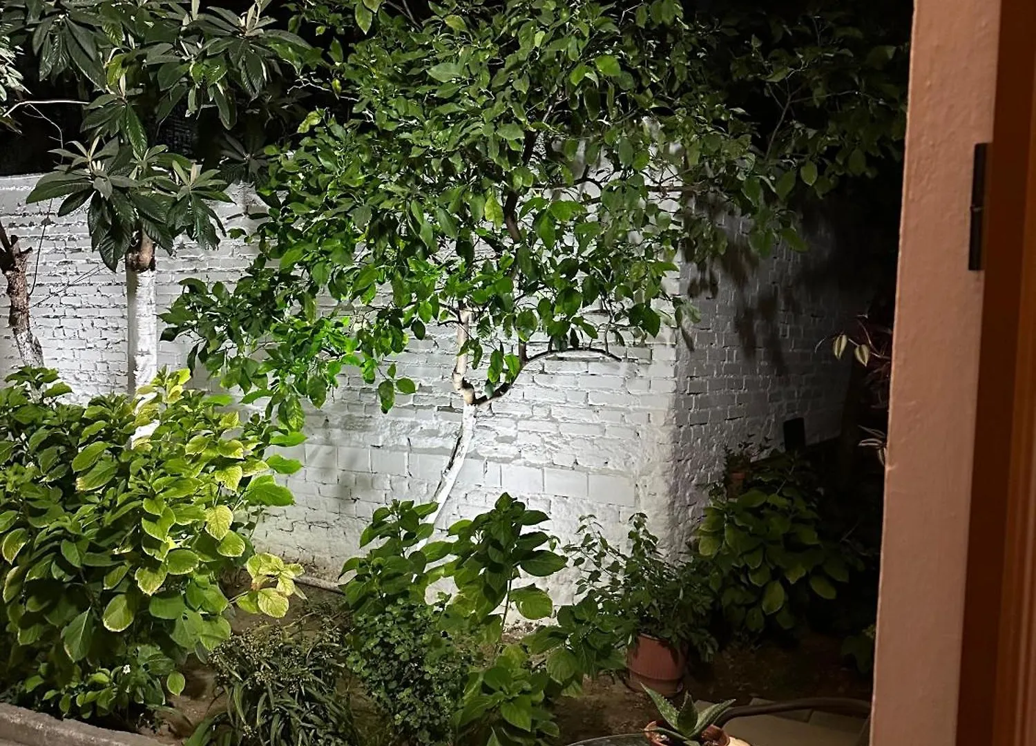 Sen Garden Home Tirana