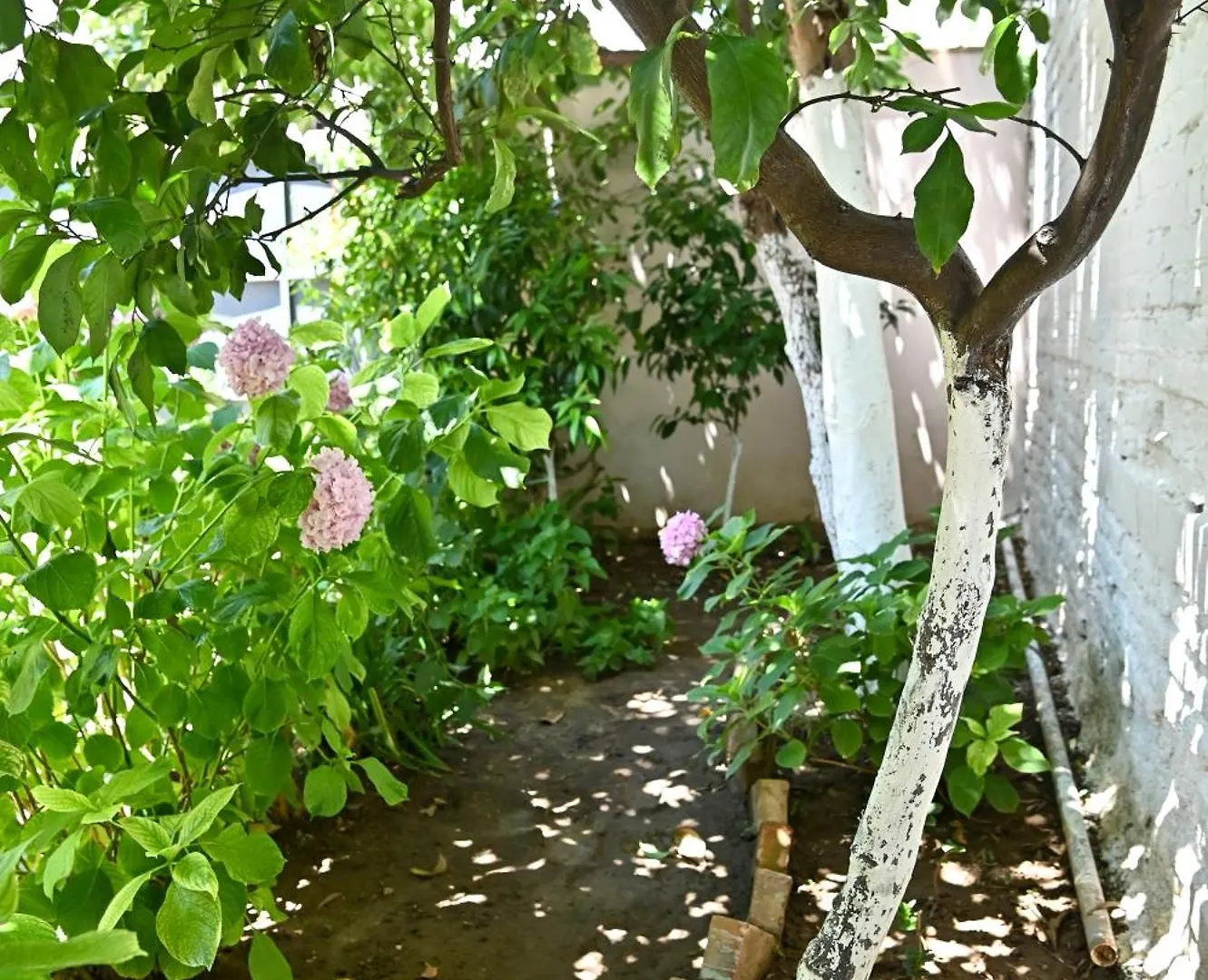 Hébergement de vacances Sen Garden Home Tirana